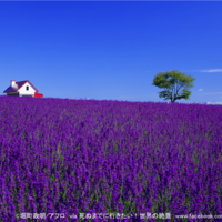 北海道の絶景スポット 死ぬまでに行きたい 世界の絶景