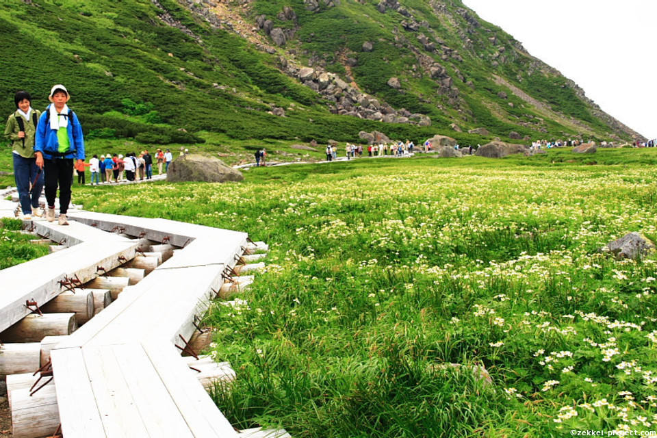 乗鞍岳のお花畑畳平 死ぬまでに行きたい 世界の絶景