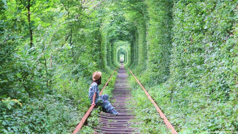 感動の美しさ 緑に包まれる 恋のトンネル ウクライナ 死ぬまでに行きたい 世界の絶景