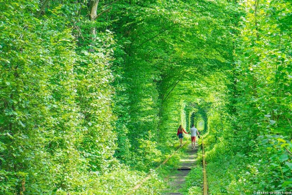 恋人と歩く 恋のトンネル 死ぬまでに行きたい 世界の絶景 恋人と歩く 恋のトンネル 死ぬまでに行きたい 世界の絶景