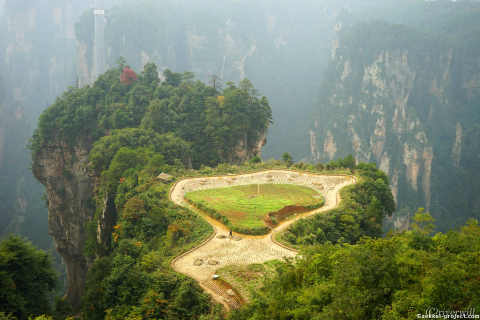 武陵源に浮かぶ 神秘の 空中田園 死ぬまでに行きたい 世界の絶景