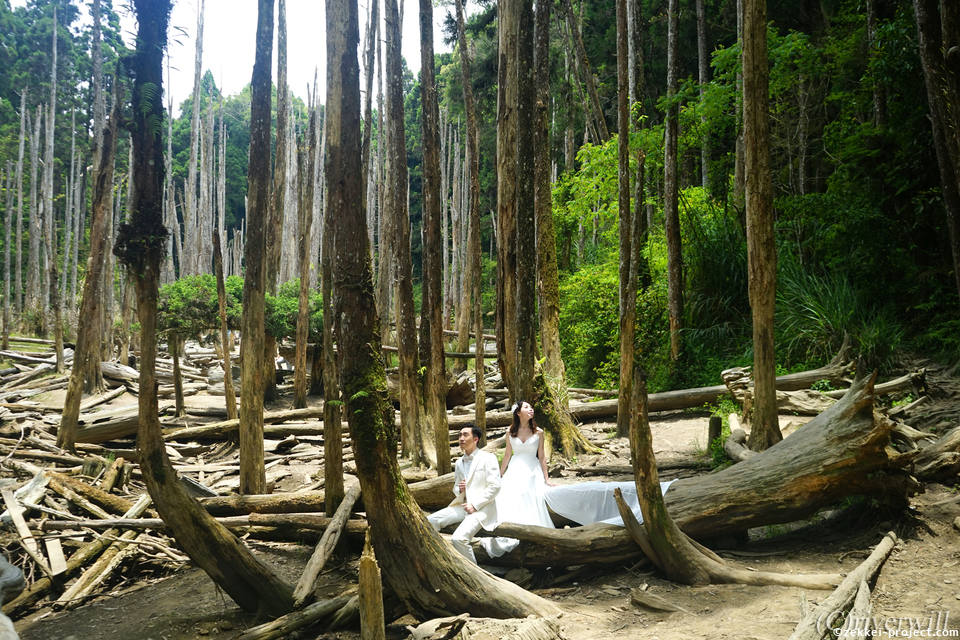 忘憂森林 の絶景情報と写真 死ぬまでに行きたい 世界の絶景