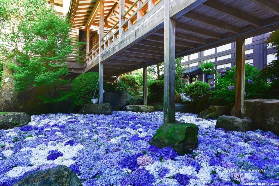 続編 紫陽花の海 死ぬまでに行きたい 世界の絶景