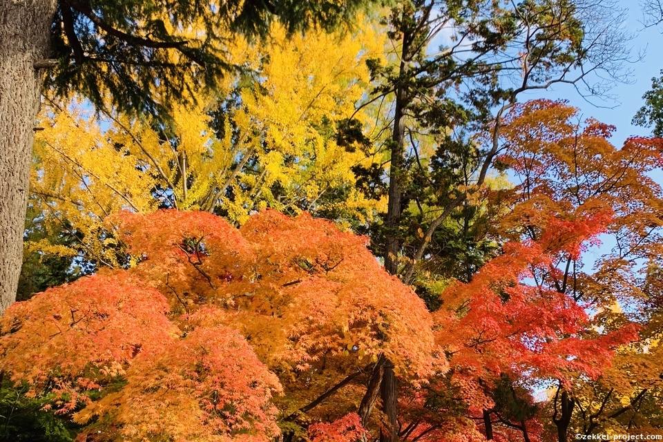 上田城 の絶景情報と写真 死ぬまでに行きたい 世界の絶景