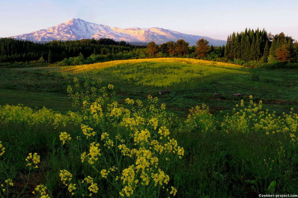 鳥海高原菜の花祭り 第二会場のモノゲンロード鳥海山 秋田県 死ぬまでに行きたい 世界の絶景
