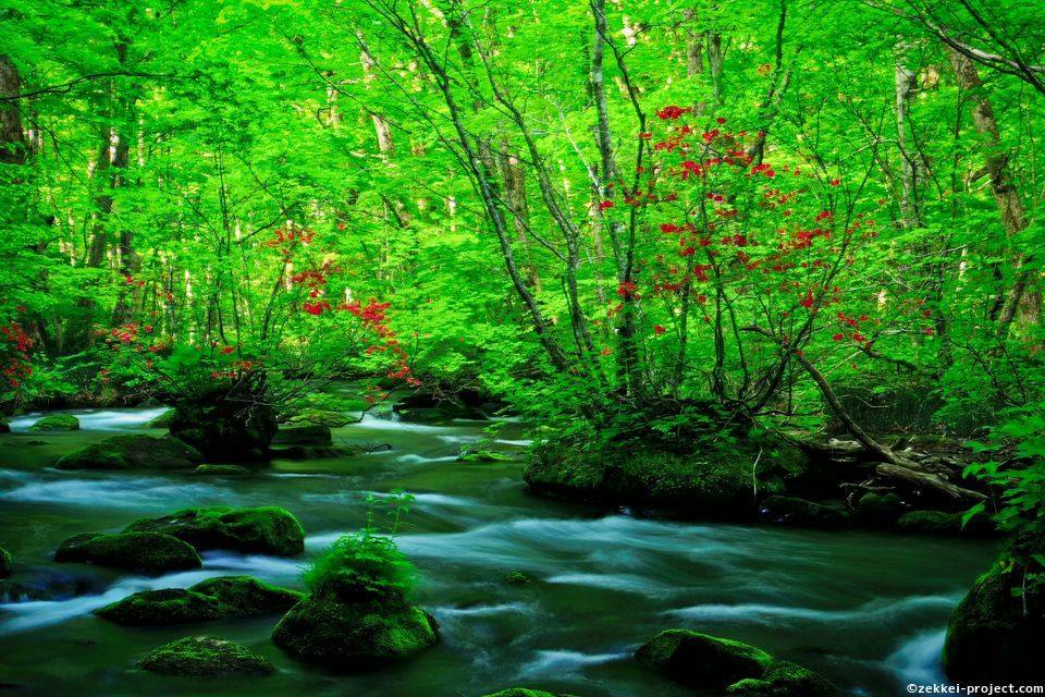 青森県の絶景写真 死ぬまでに行きたい 世界の絶景