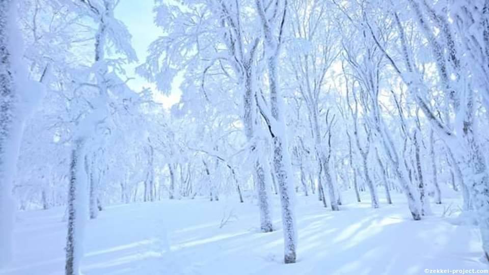 七飯スキー場頂上付近の樹氷の森 死ぬまでに行きたい 世界の絶景