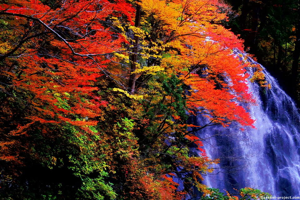 立又渓谷 一の滝 の絶景情報と写真 死ぬまでに行きたい 世界の絶景