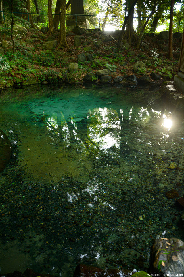 こんこんと湧き出る浄泉 死ぬまでに行きたい 世界の絶景