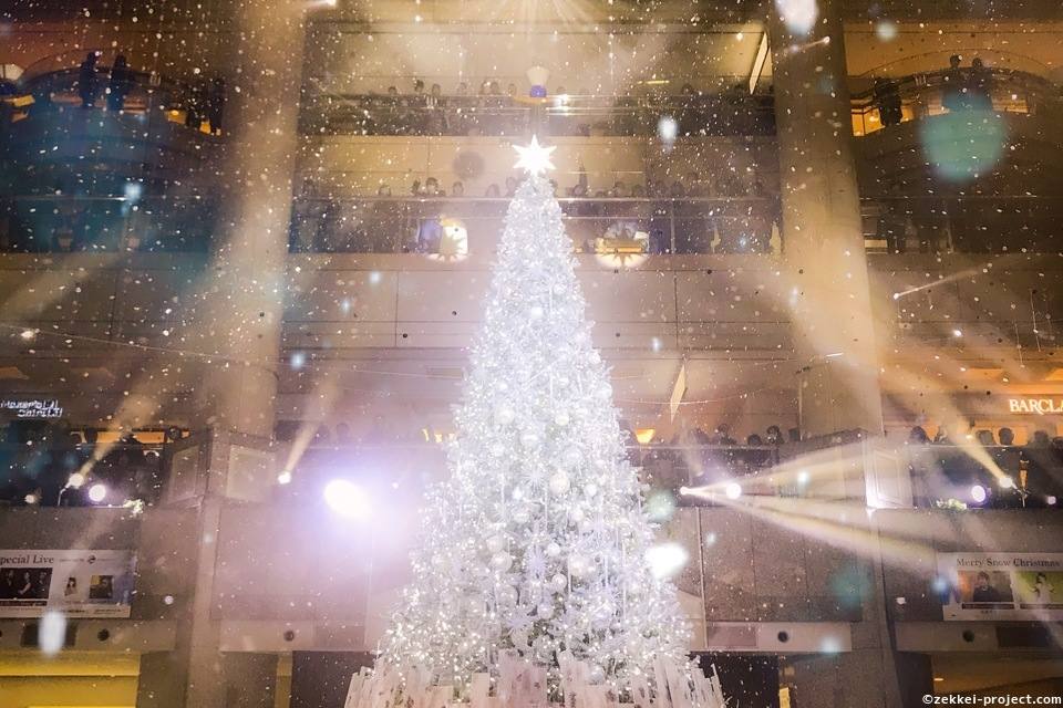クリスマスツリー タグの絶景写真 死ぬまでに行きたい 世界の絶景 クリスマスツリー タグの絶景写真 死ぬまでに行きたい 世界の絶景