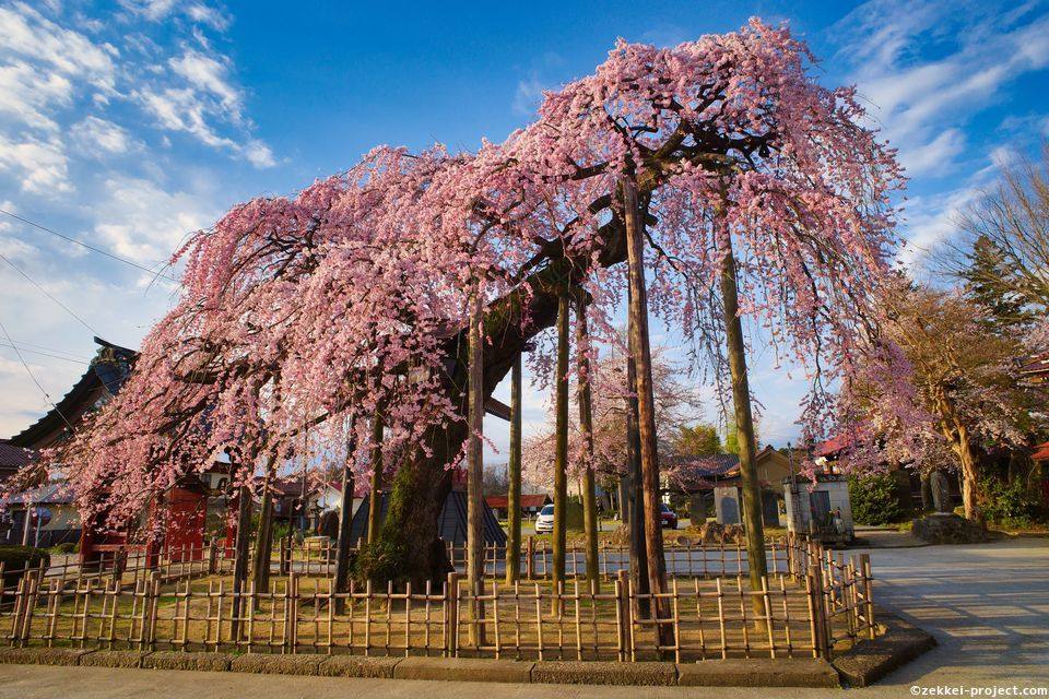 円東寺 の絶景情報と写真 死ぬまでに行きたい 世界の絶景