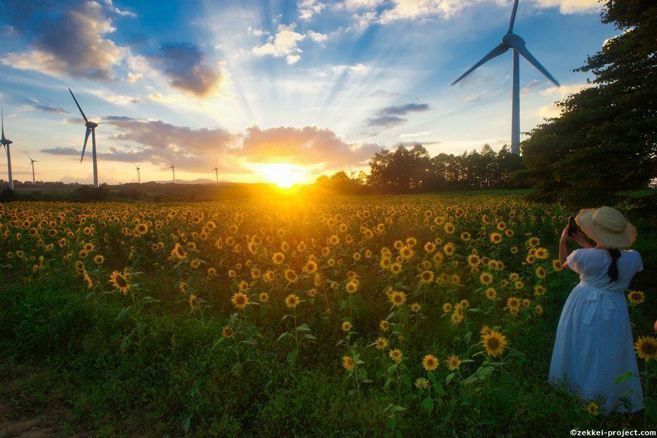 布引高原ひまわり畑 夕景 福島県 死ぬまでに行きたい 世界の絶景