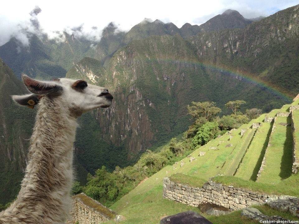 虹とマチュピチュとリャマ 死ぬまでに行きたい 世界の絶景
