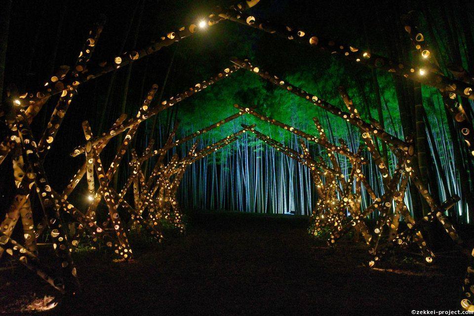 若竹の杜 若山農場 夜ver Bamboo Summer Nights 21 栃木県 死ぬまでに行きたい 世界の絶景