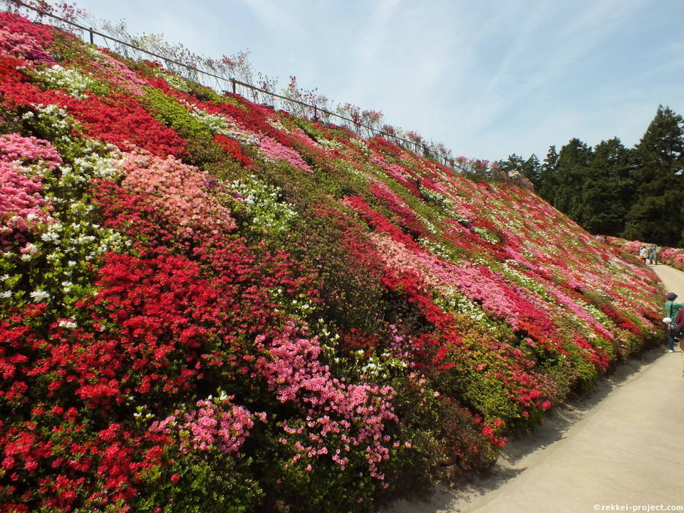 松本つつじ園 長崎県 死ぬまでに行きたい 世界の絶景
