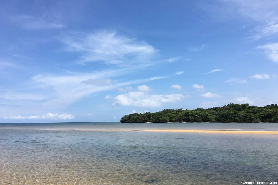 ヒルギ群落 の絶景情報と写真 死ぬまでに行きたい 世界の絶景 ヒルギ群落 の絶景情報と写真 死ぬまでに行きたい 世界の絶景