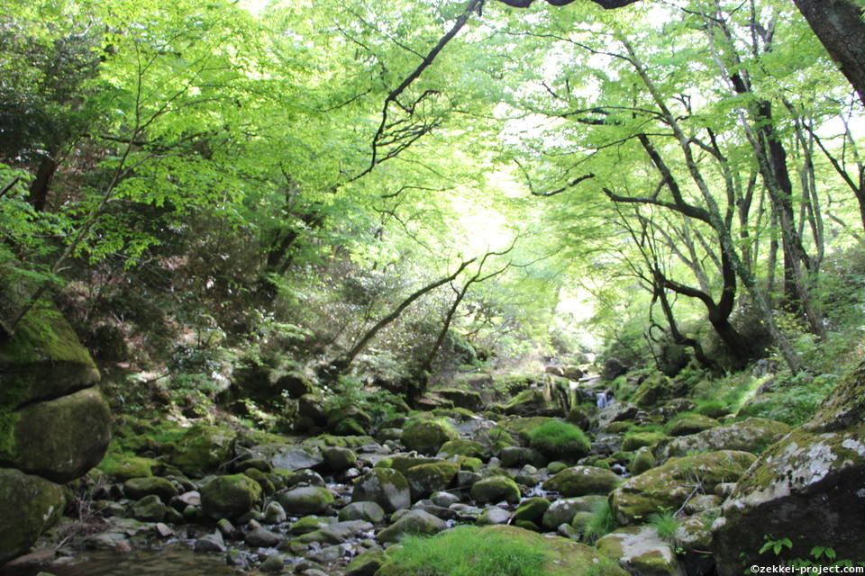 橋本 かほの絶景写真 死ぬまでに行きたい 世界の絶景