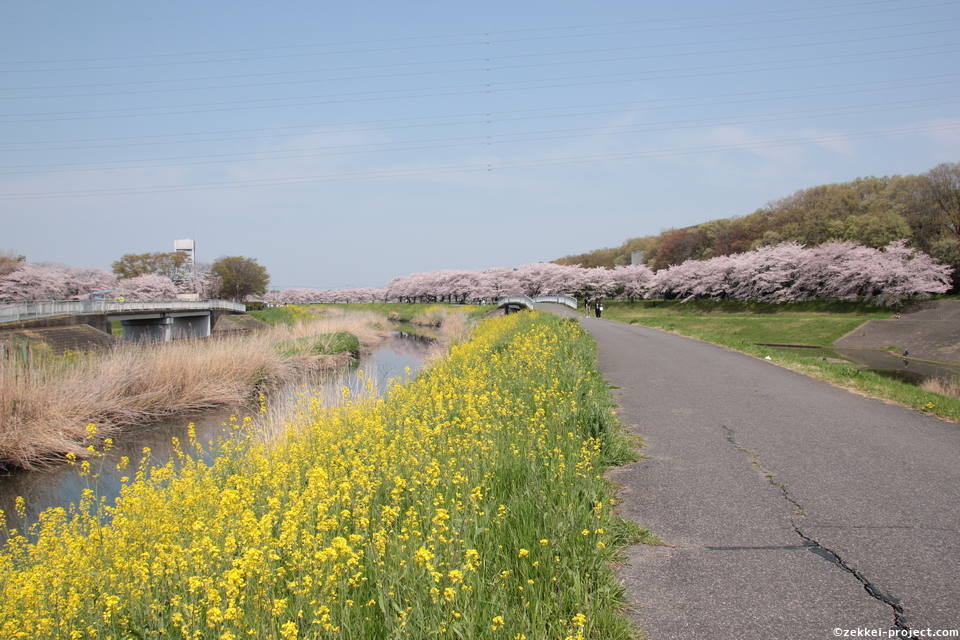 大宮第二公園 の絶景情報と写真 死ぬまでに行きたい 世界の絶景
