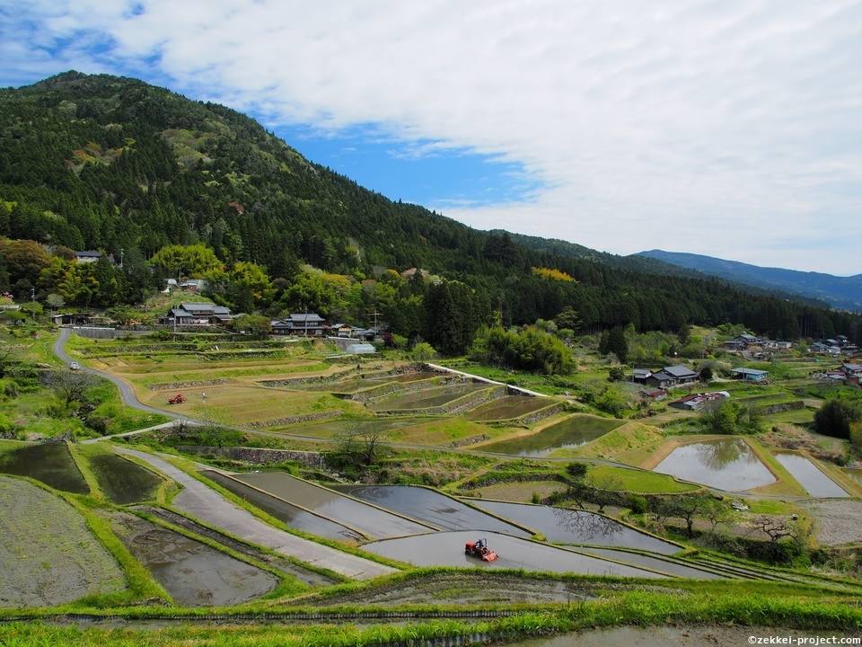 春の坂折棚田 死ぬまでに行きたい 世界の絶景