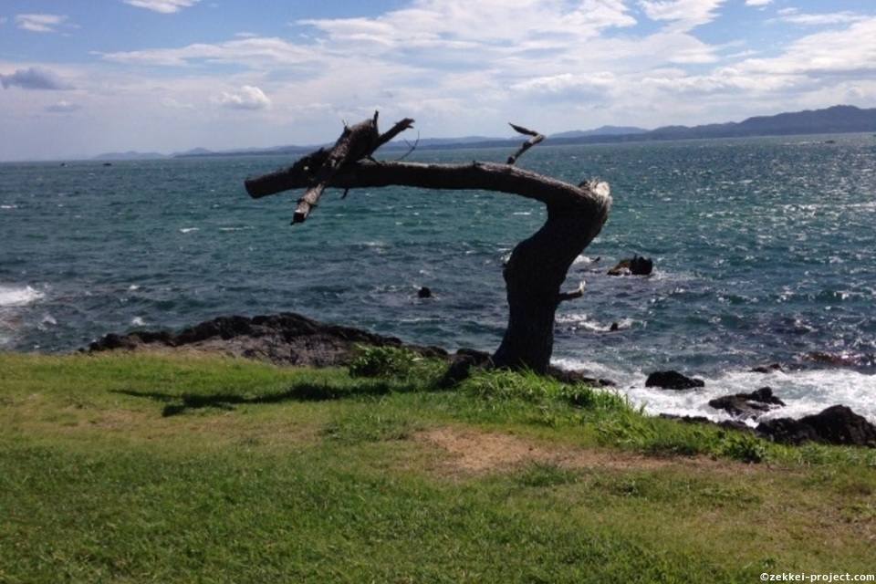 岩井崎 の絶景情報と写真 死ぬまでに行きたい 世界の絶景